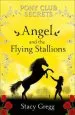 Audiobook Angel and the Flying Stallions author Stacy Gregg