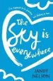 Audiobook The sky is Everywhere author Jandy Nelson
