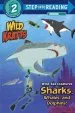 Audiobook Wild sea Creatures Sharks, Whales and Dolphins Step Into Reading lvl 2 author Chris Kratt