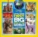 Audiobook Little Kids First big Book of the World author Elizabeth Carney