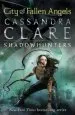 Audiobook The Mortal Instruments 4: City of Fallen Angels author Cassandra Clare