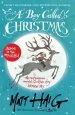 Audiobook A boy Called Christmas author Matt Haig