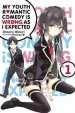Audiobook My Youth Romantic Comedy is Wrong, as i Expected, Vol. 1 (Light Novel) author Wataru Watari