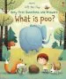 Audiobook Lift-The-Flap Very First Questions & Answers: What is poo? author Katie Daynes