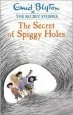 Audiobook Secret Stories: The Secret of Spiggy Holes author Enid Blyton