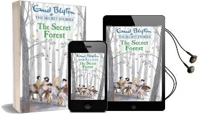 Secret Stories: The Secret Forest Audiobook download free by Enid Blyton