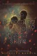 Audiobook The Becoming of Noah Shaw author Michelle Hodkin
