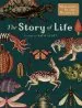Audiobook The Story of Life: Evolution (Extended Edition) author Ruth Symons