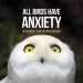 Audiobook All Birds Have Anxiety author Kathy Hoopmann