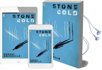 Stone Cold Audiobook download free by Robert Swindells