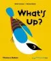 Audiobook What'S up? author Olivia Cosneau
