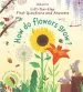 Audiobook First Lift-The-Flap First q&a: How do Flowers Grow? author Katie Daynes