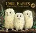 Audiobook Owl Babies author Martin Waddell