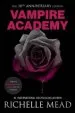 Audiobook Vampire Academy author Richelle Mead