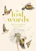 Audiobook The Lost Words author Robert Macfarlane