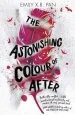 Audiobook The Astonishing Colour of After author Emily X. R. Pan