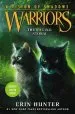 Audiobook Warriors: A Vision of Shadows #6: The Raging Storm author Erin Hunter