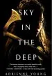 Audiobook Sky in the Deep author Adrienne Young