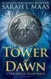 Audiobook Tower of Dawn author Sarah J. Maas